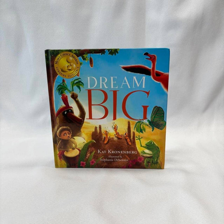 Dream Big Illustrated Kids Book Hardcover Motivational Story