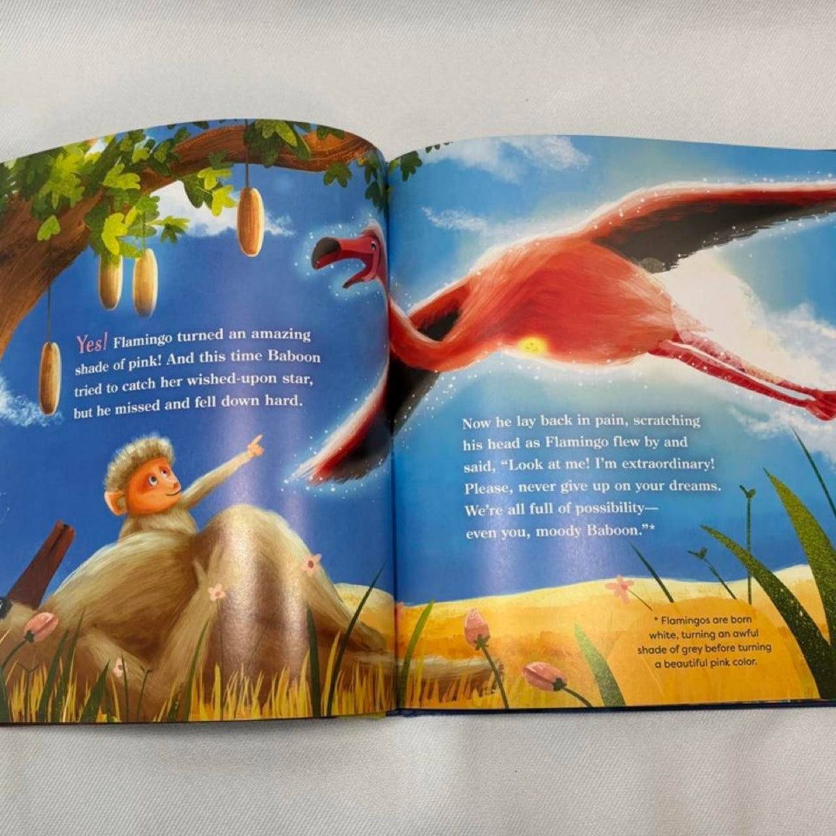 Dream Big Illustrated Kids Book Hardcover Motivational Story