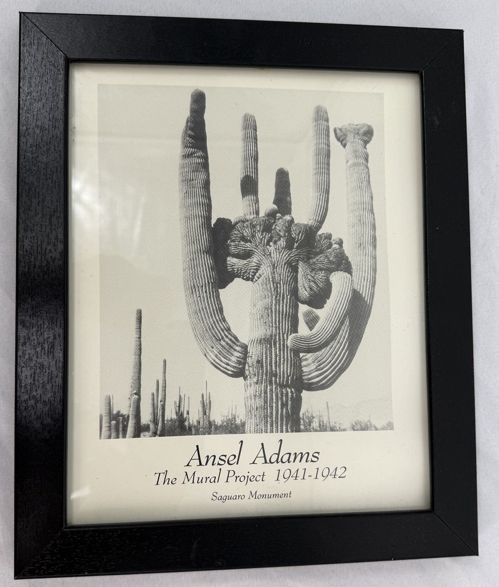 Ansel Adams Collection (4)