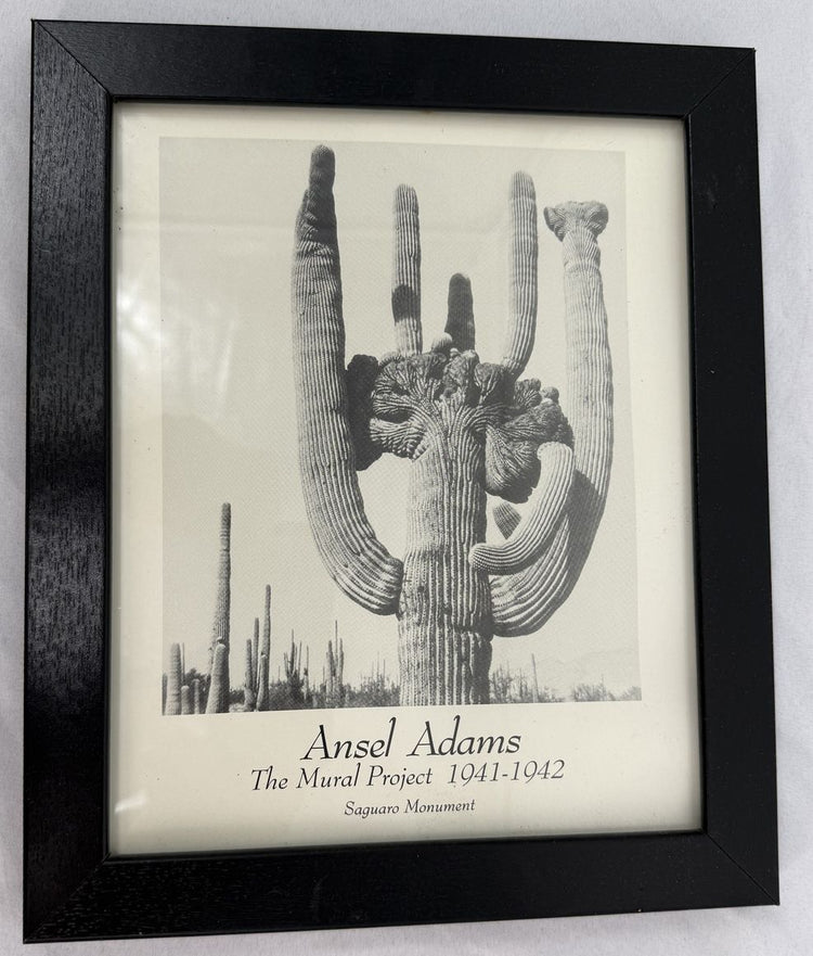 Ansel Adams Collection (4)